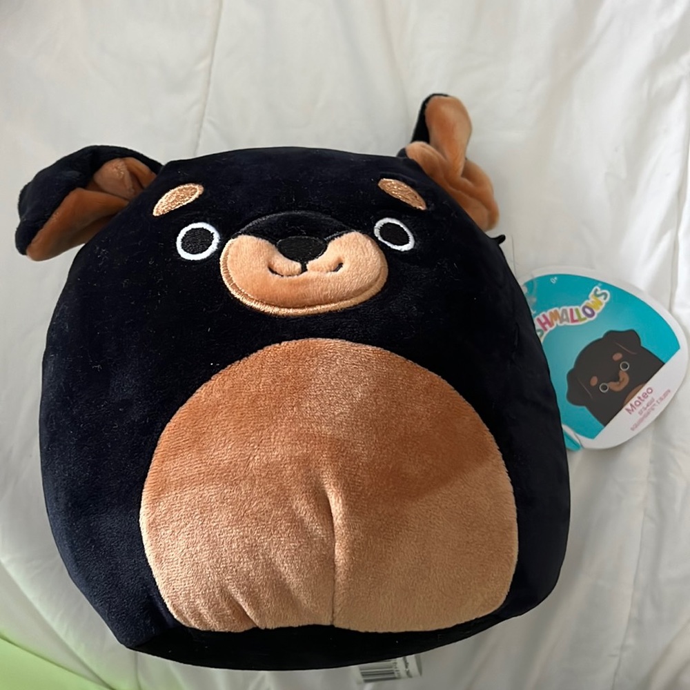 squishmallow! name: Mateo